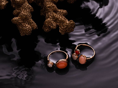 تست3 درشاین